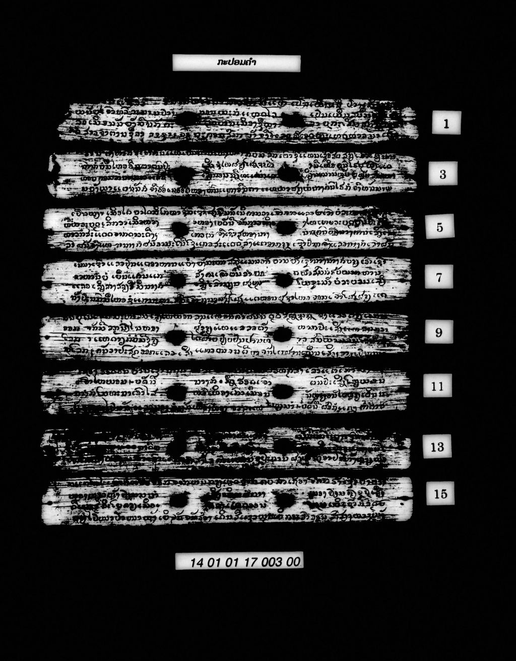 ກະປອມຄຳ