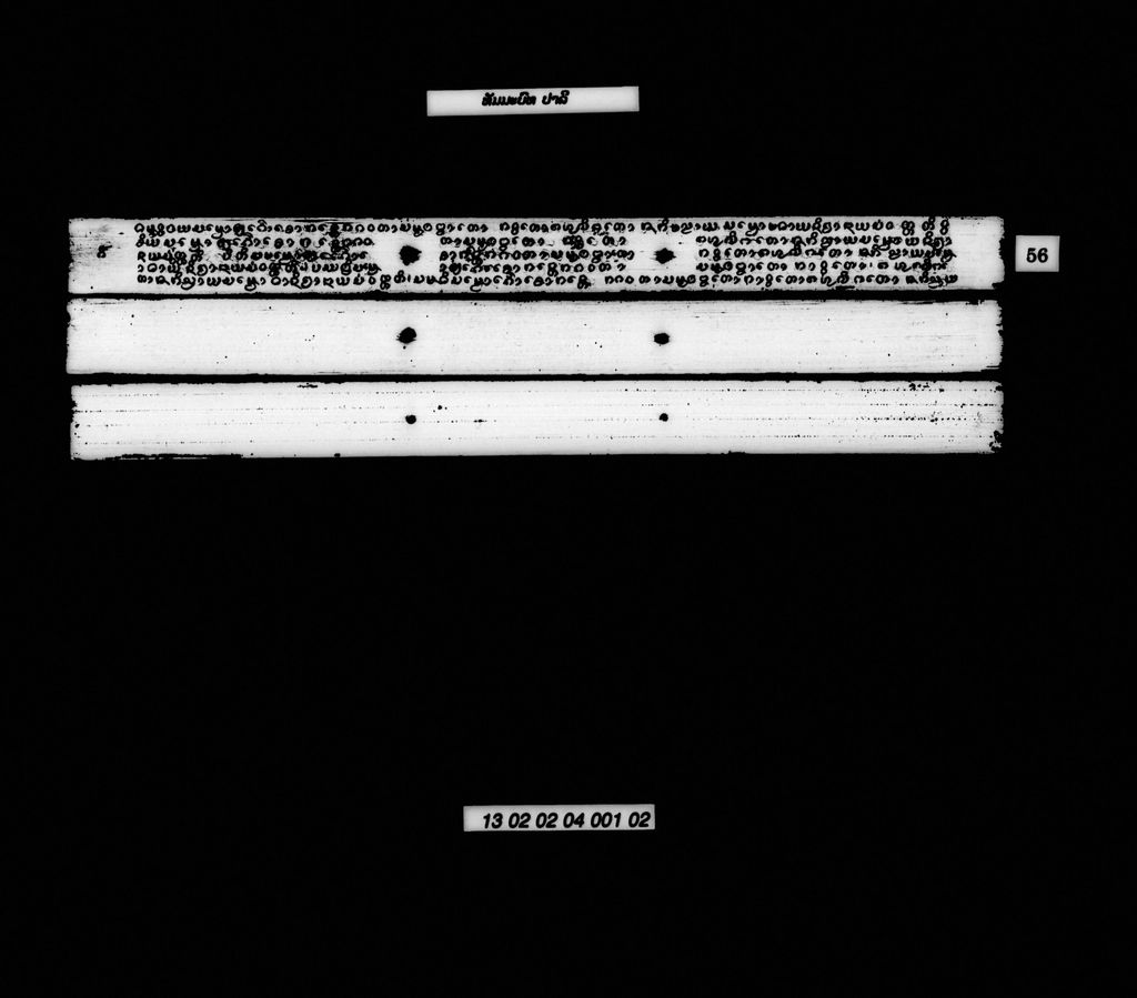 ທັມມະບົທ (ປາລີ)