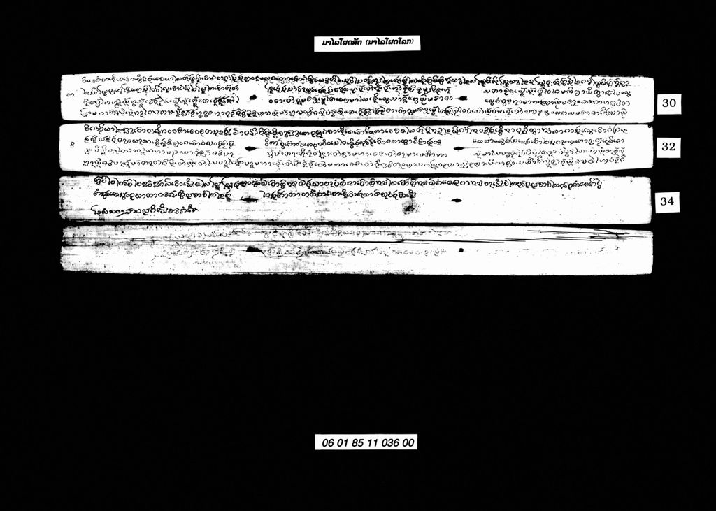 ມາໄລໂຜດສັຕ(ມະໄລໂຜດໂລກ)