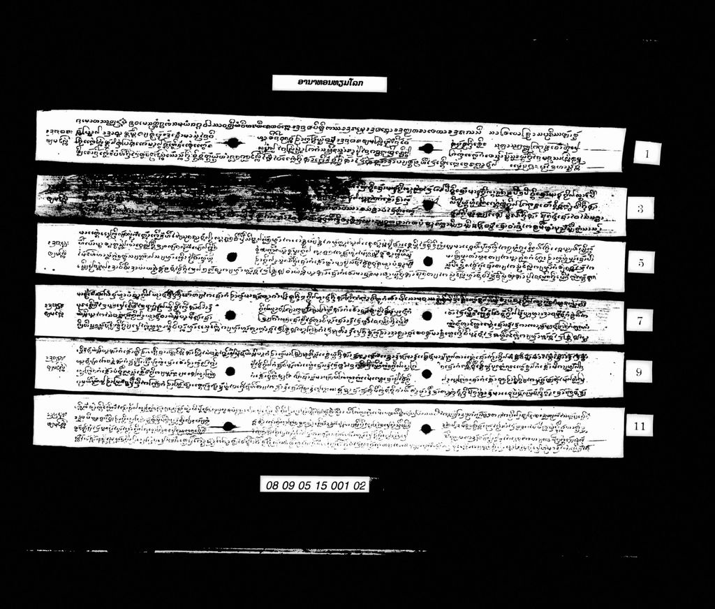 ອະນາທອນທຽມໂລກ