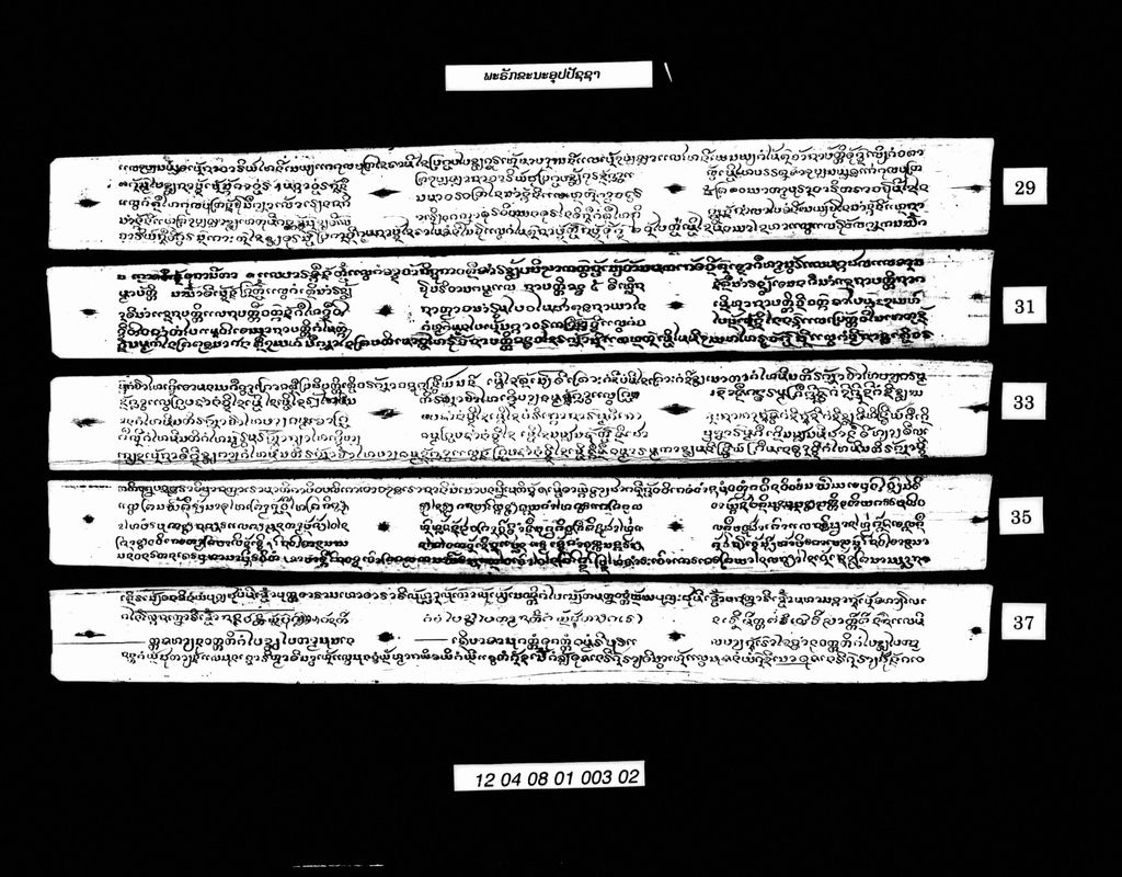 ພະຣັກຂະນະອຸປປັຊຊາ