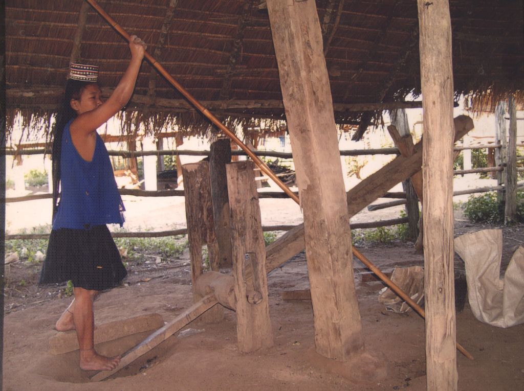 ແມ່​ຍິງ​ຕ່ຳ​ເຂົ້າ ຢູ່​ເມືອງ​ສິງ ແຂວງຫຼວງ​ນ້ຳ​ທາ