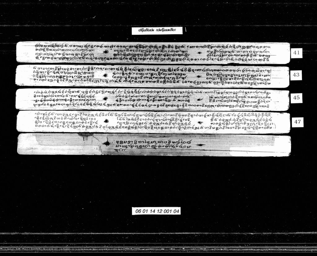 ປຖົມກັບປະ (ປະຖົມມະກັບ)