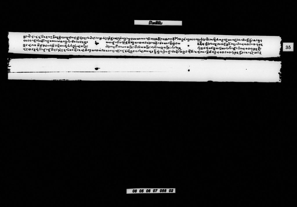 ນິໃສສີທົນ