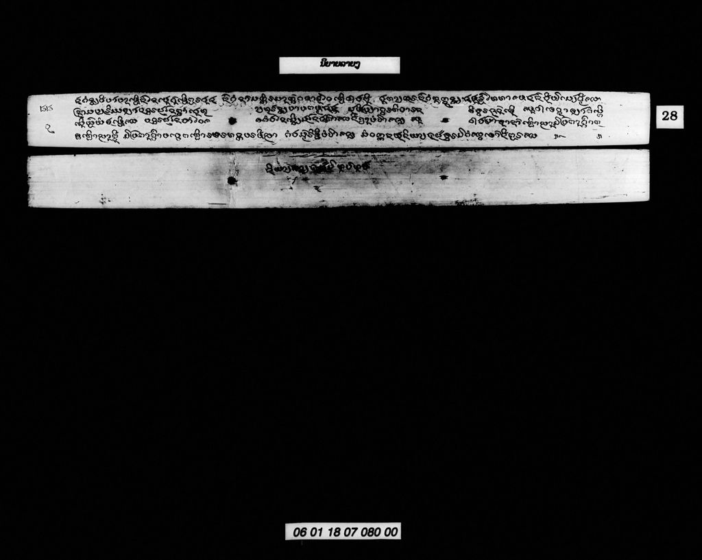 ນິຍາຍລາຍງູ