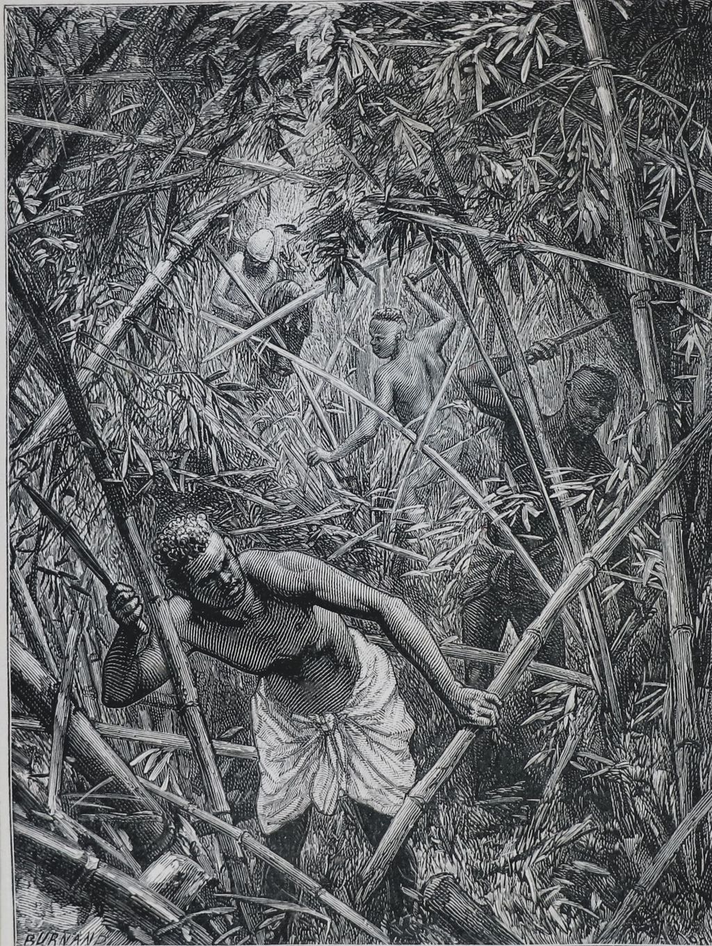 ຮູບພາບຂາວດໍາ ການຜ່ານຜ່າປ່າໄມ້ໄຜ່ ປີ 1880