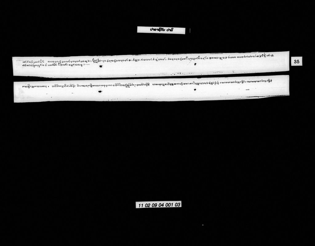 ປາຣາຊິກັນ (ປາລີ)