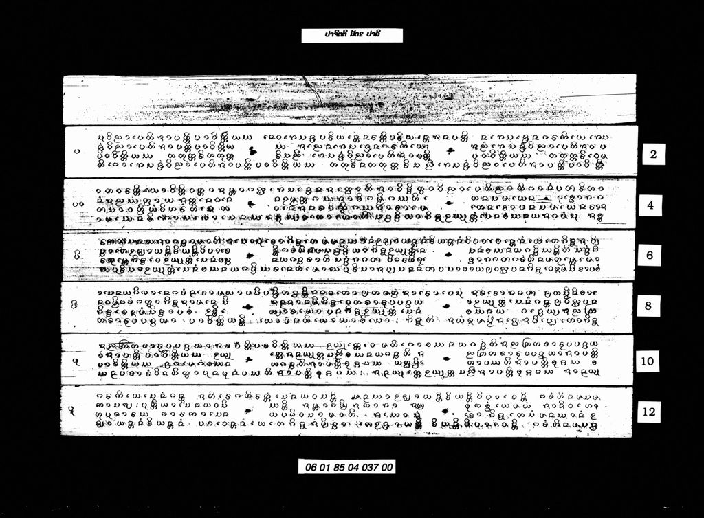 ປາຈິຕຕີ ມັດສອງ (ປາລີ)