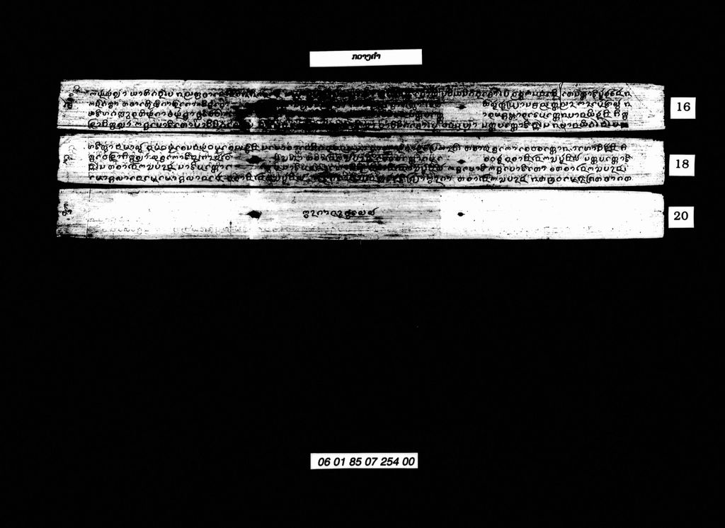 ກວາງຄໍາ