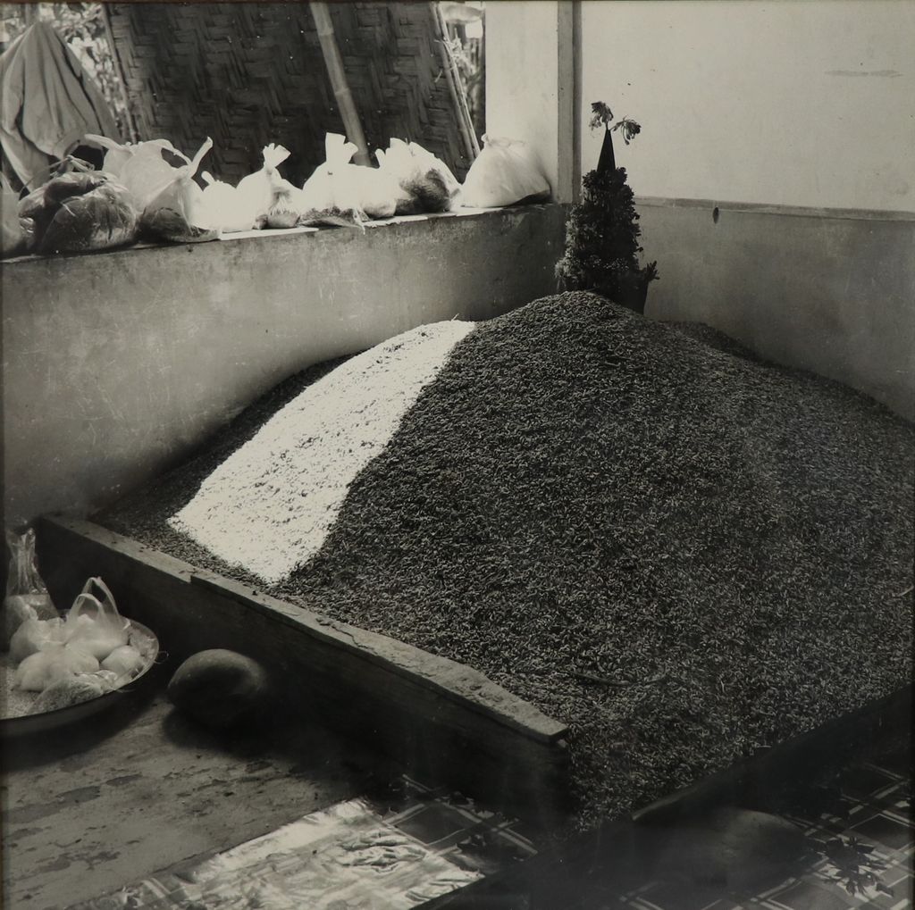 ຮູບພາບຂາວດໍາ ກອງເຂົ້າເປືອກ ມີຂັນດອກໄມ້