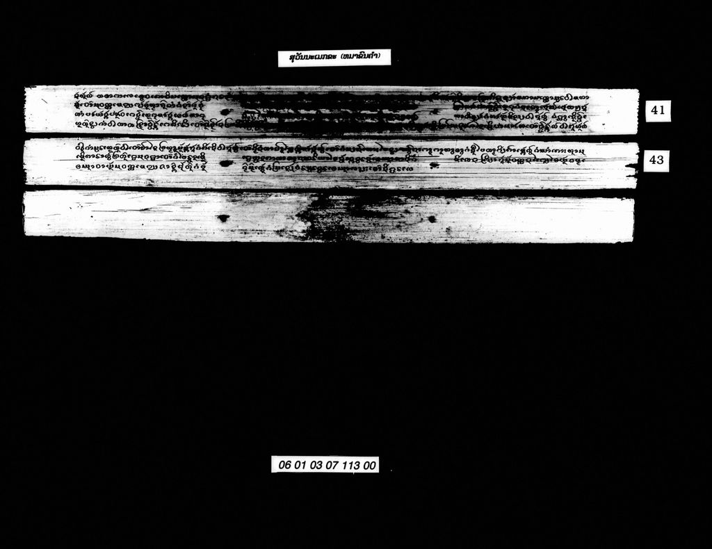 ສຸວັນນະເມກຂະ (ໝາຂົນຄຳ)