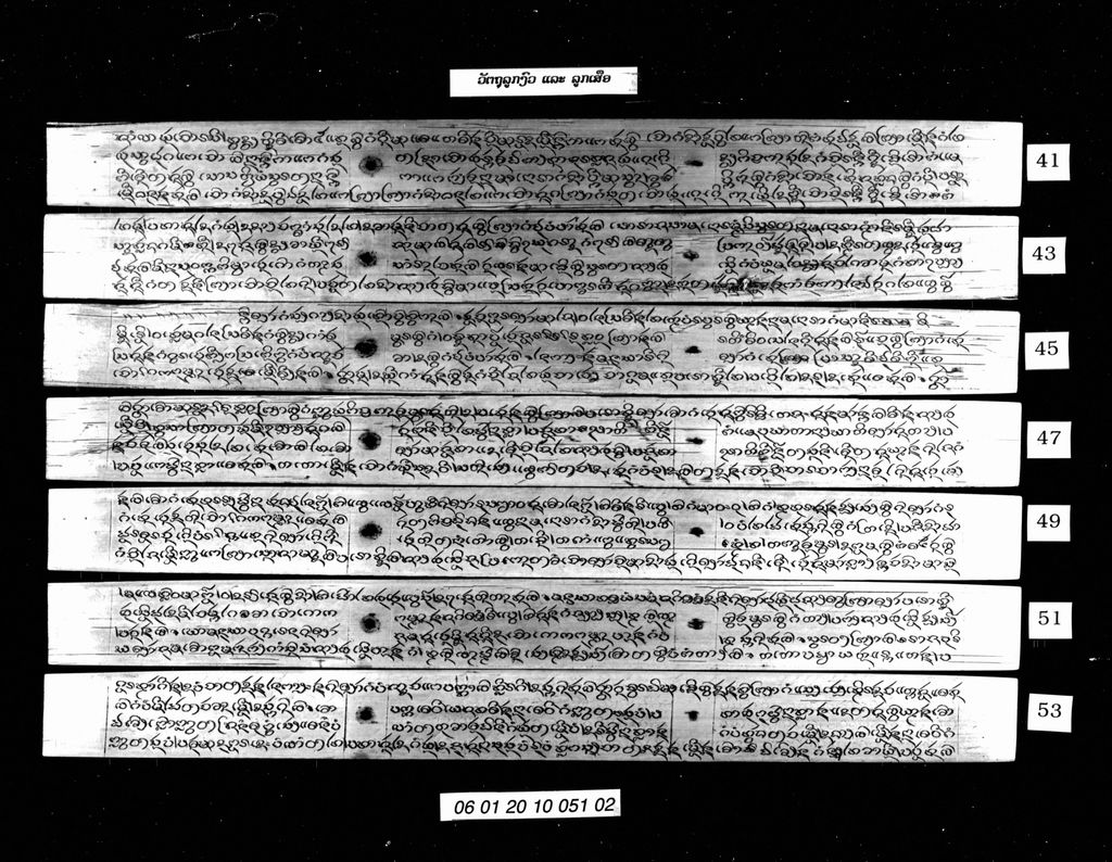 ວັຕຖຸລູກງົວ ແລະ ລູກເສືອ