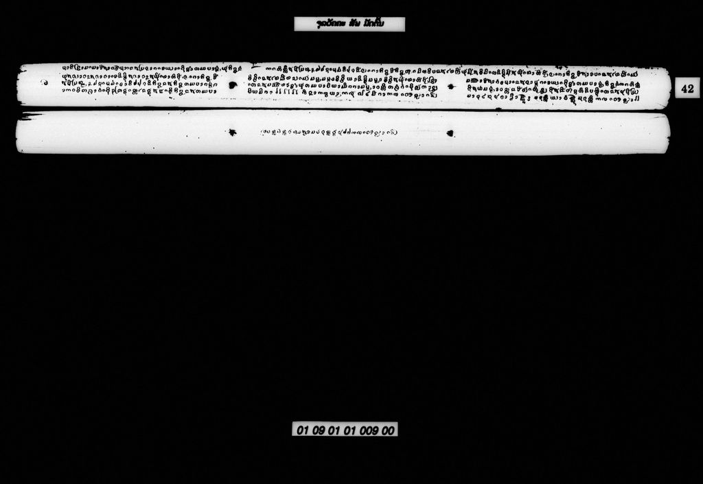 ສັພ ຈຸລລະວັຄ ມັດຕົ້ນ