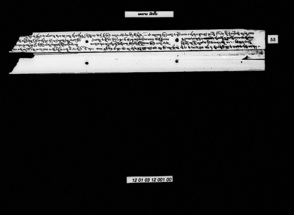 ພະລາມ (ມັດຕົ້ນ)