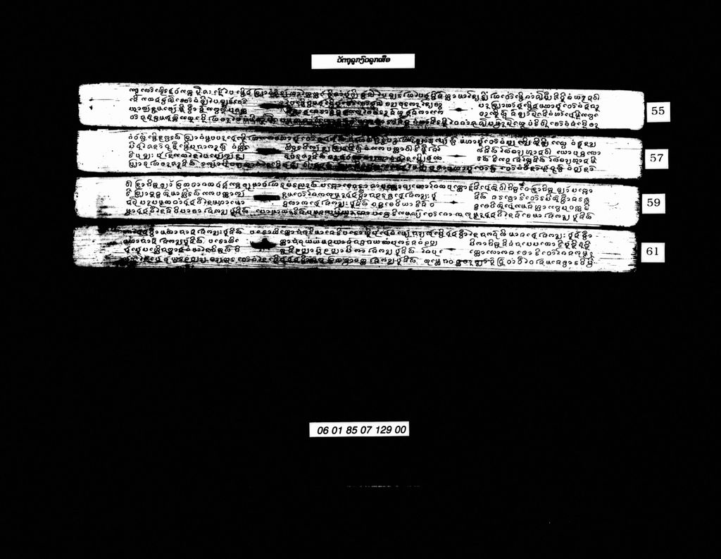 ວັັຕຖຸ ລູກງົວລູກເສືອ