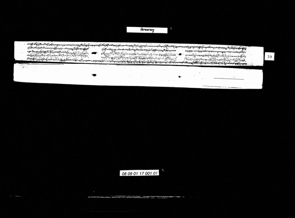 ນິຍາຍລາຍງູ