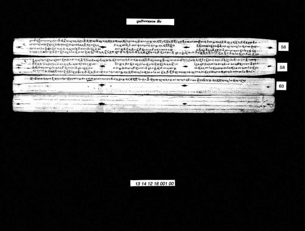 ມູລກັຈຈາຍະນະ (ສັພ)