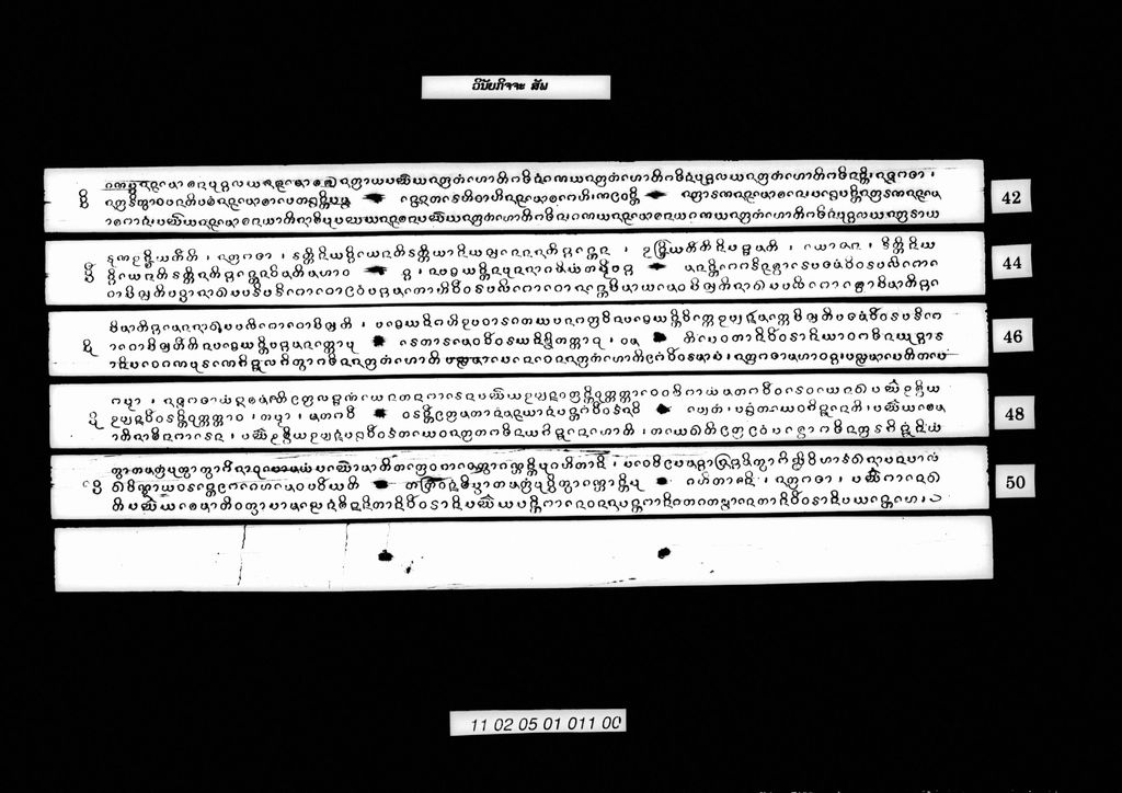 ວິນັຍກິຈຈະ (ສັພ)