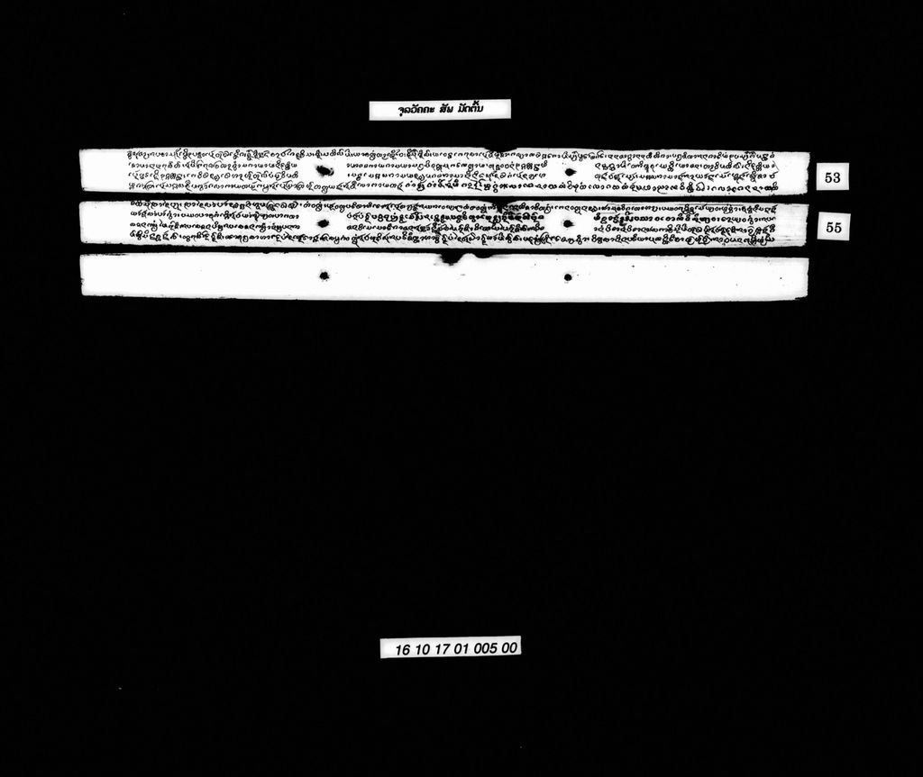 ຈຸລວັຄຄະ (ສັພ) ມັດຕົ້ນ