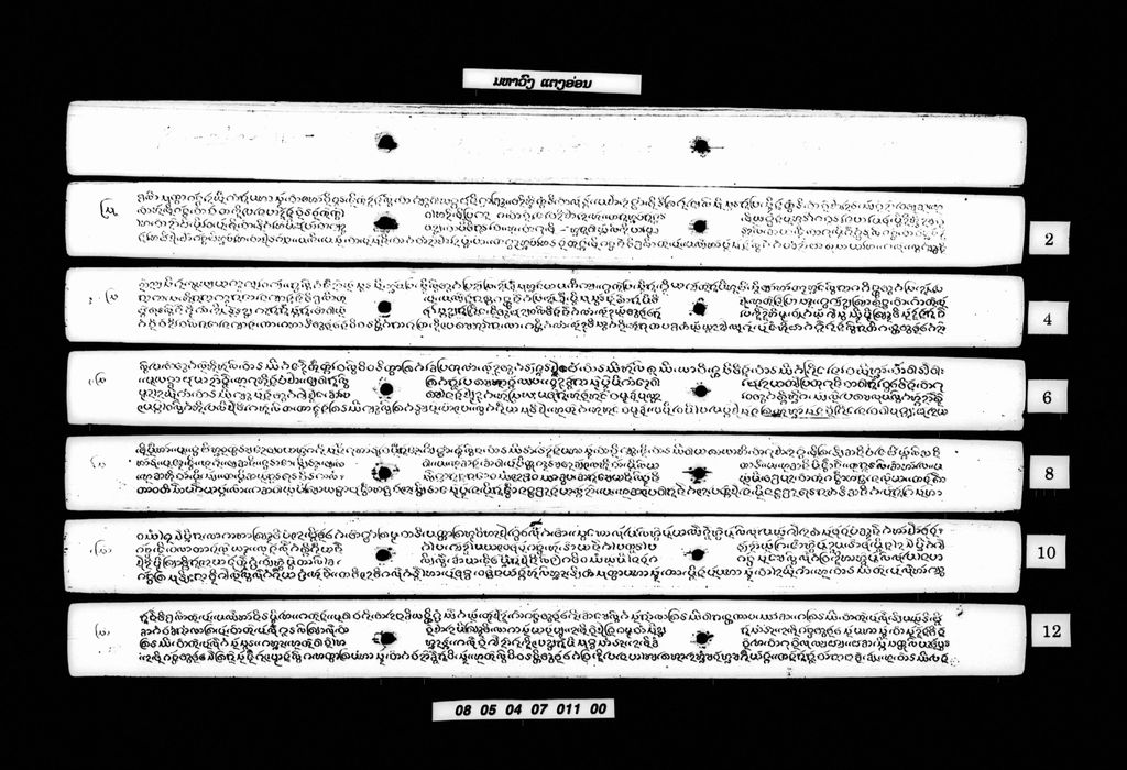 ມຫາວົງແຕງອ່ອນ