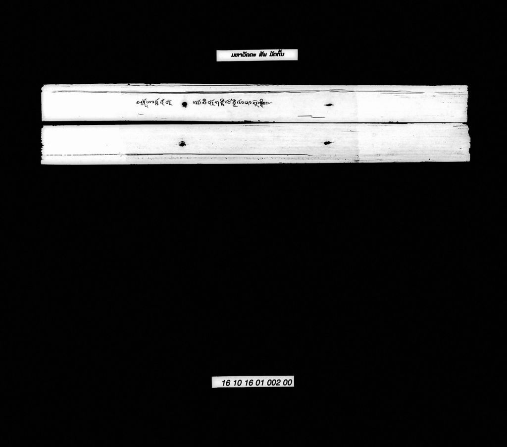 ມຫາວັຄຄະ (ສັພ) ມັດຕົ້ນ