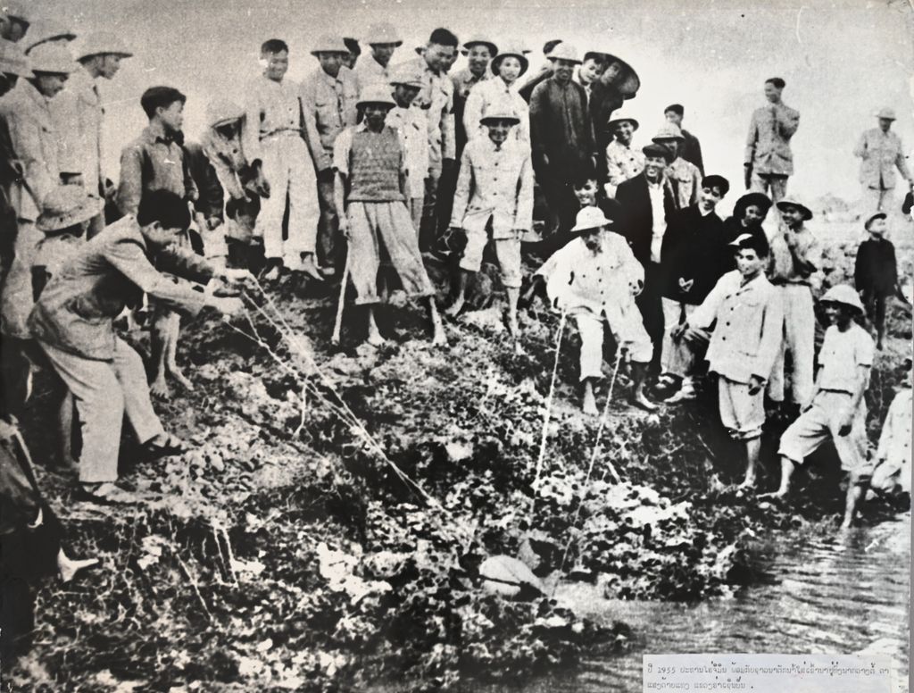 ປີ 1955 ປະທານ ໂຮຈິມິນ ພ້ອມດ້ວຍຊາວນາຕັກນ້ຳໃສ່ເຂົ້ານາຢູ່ທົ່ງນາກວາງຕໍ້