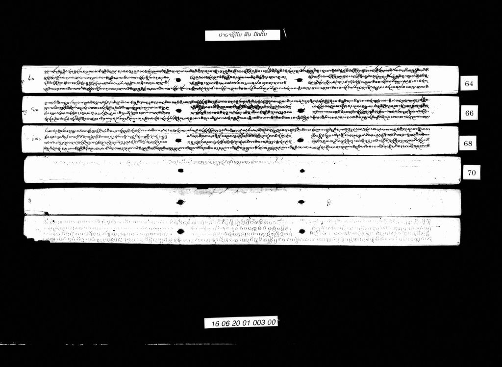 ປາຣາຊິກັນ (ສັພ) ມັດຕົ້ນ