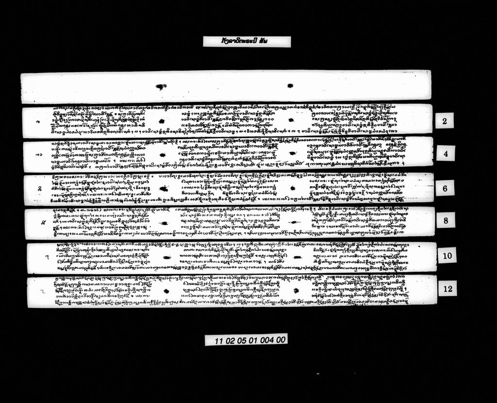 ກັງຂາວິຕະຣະນີ (ສັພ)