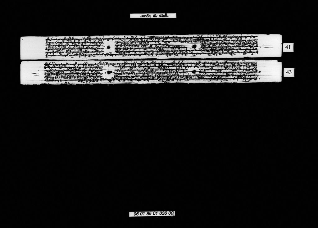 ມຫາວັຄ ມັດຕົ້ນ (ສັພ)