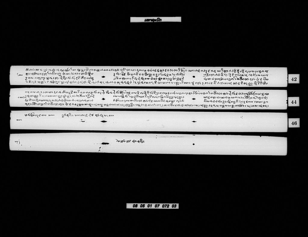 ມະຫາຊະນົກ