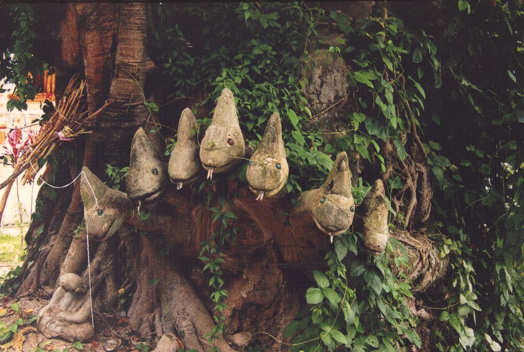 ຮູບ​ປັ້ນຫົວ​ພ​ະ​ຍາ​ນາກ 7 ຫົວ​