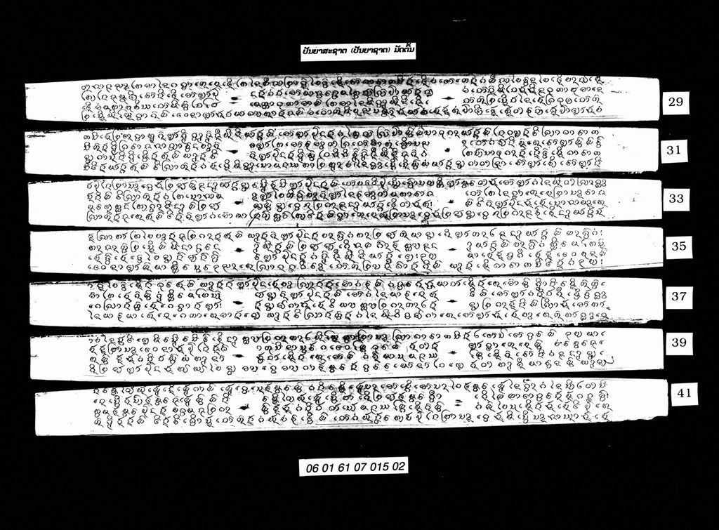 ປັນຍາສະຊາຕ (ປັນຍາຊາຕ) ມັດຕົ້ນ