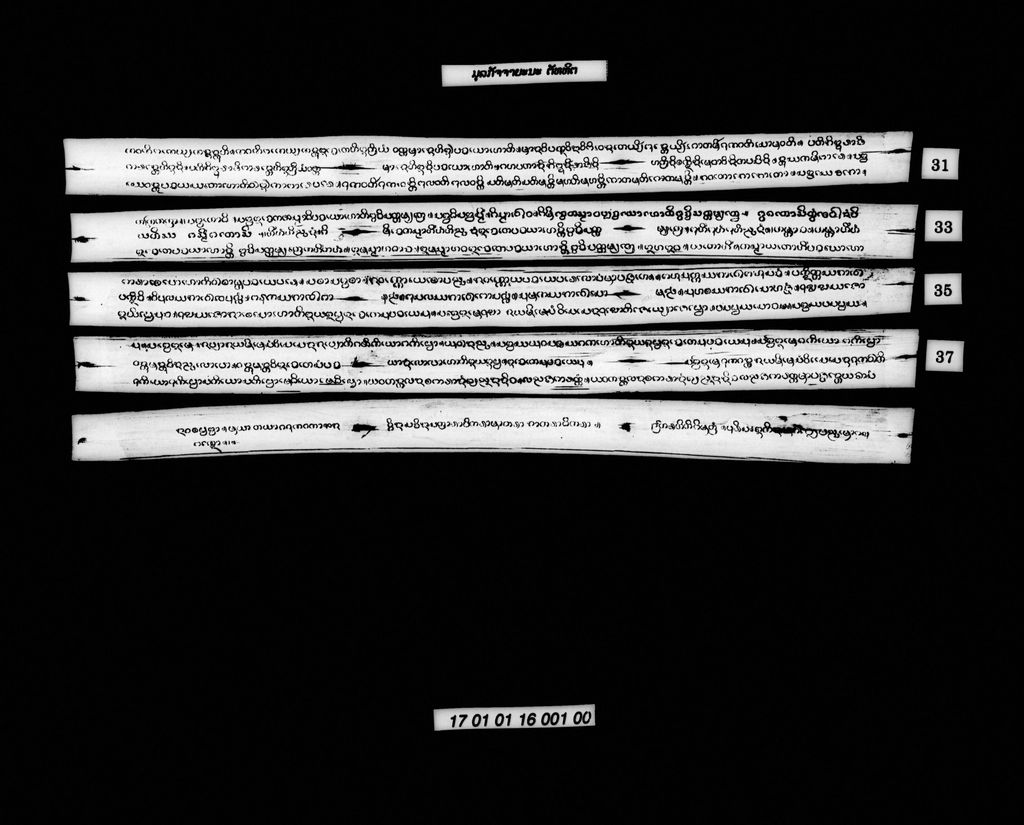 ມູລກັຈຈາຍະນະ (ຕັທທິຕ)