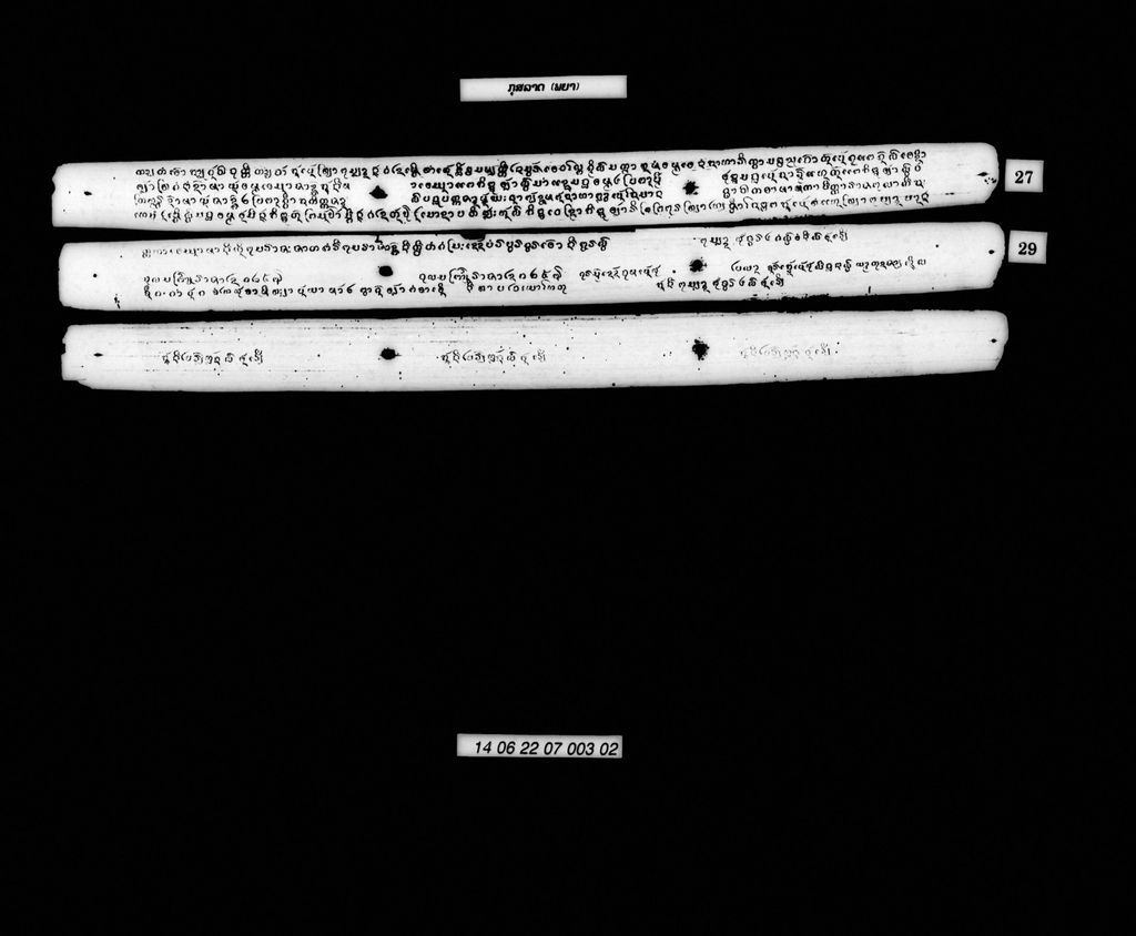 ກຸສລາດ (ພຍາ)