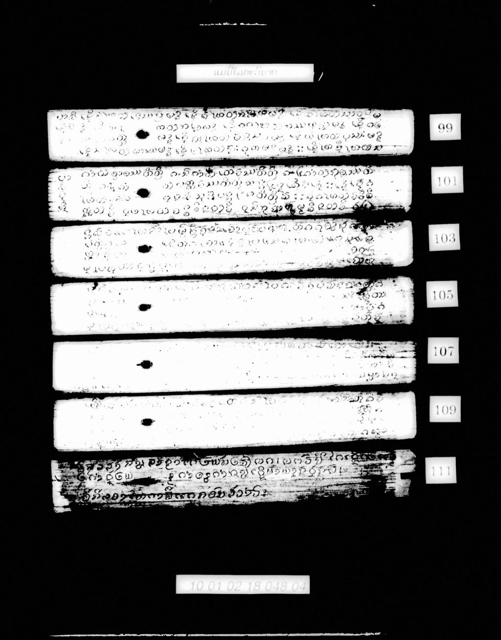 ແມ່ມື້ໂລກະວິນາດ