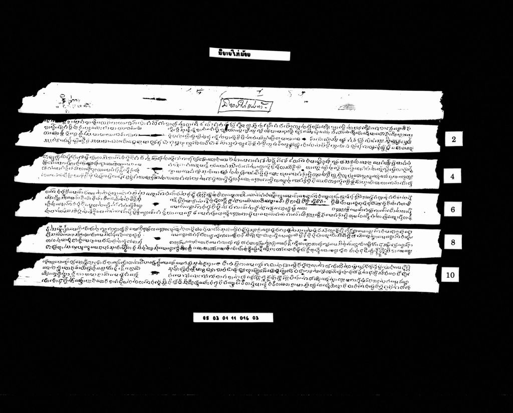 ນິຍາຍໄກ່ນ້ອຍ