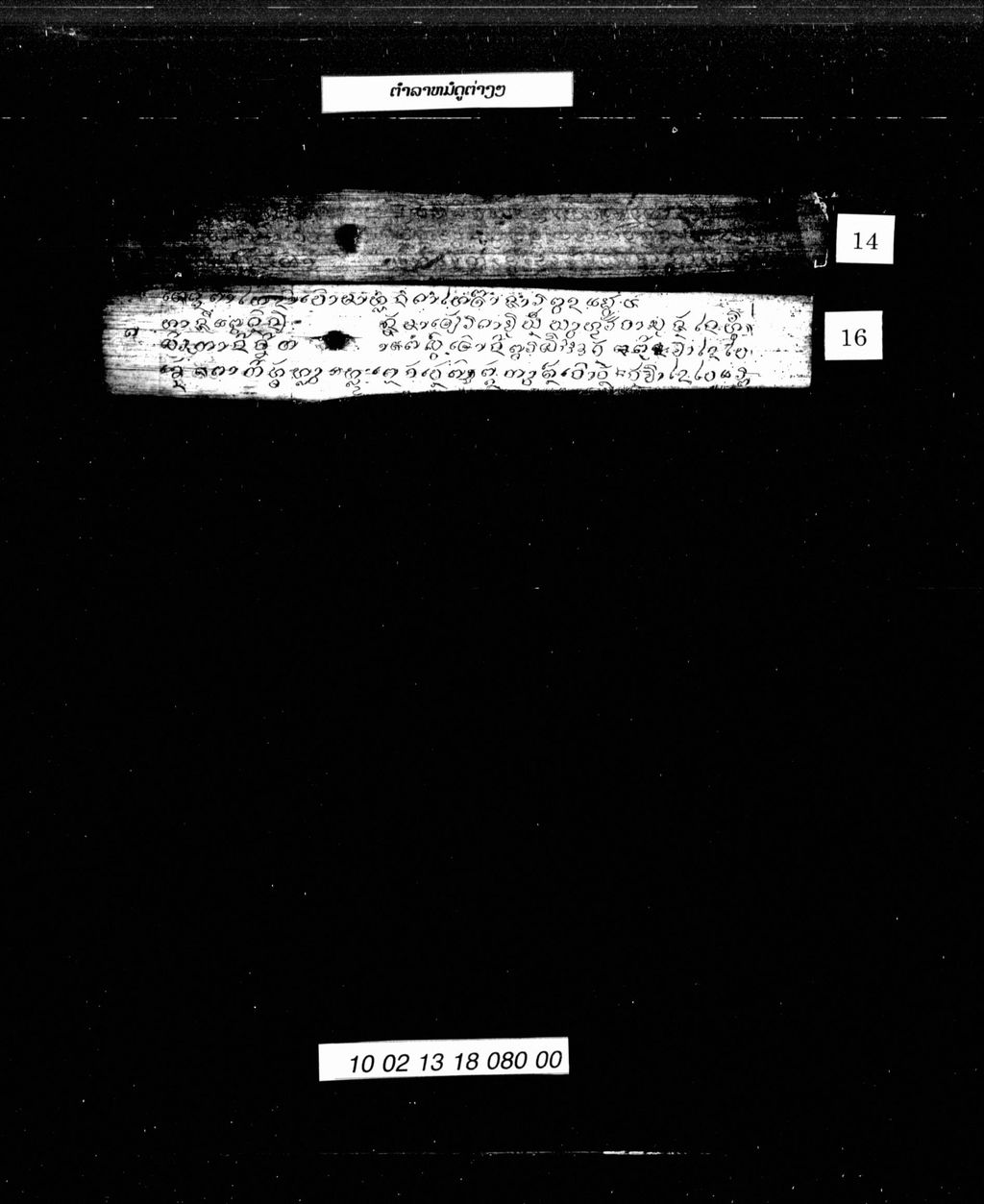 ຕຳລາໝໍດູຕ່າງໆ