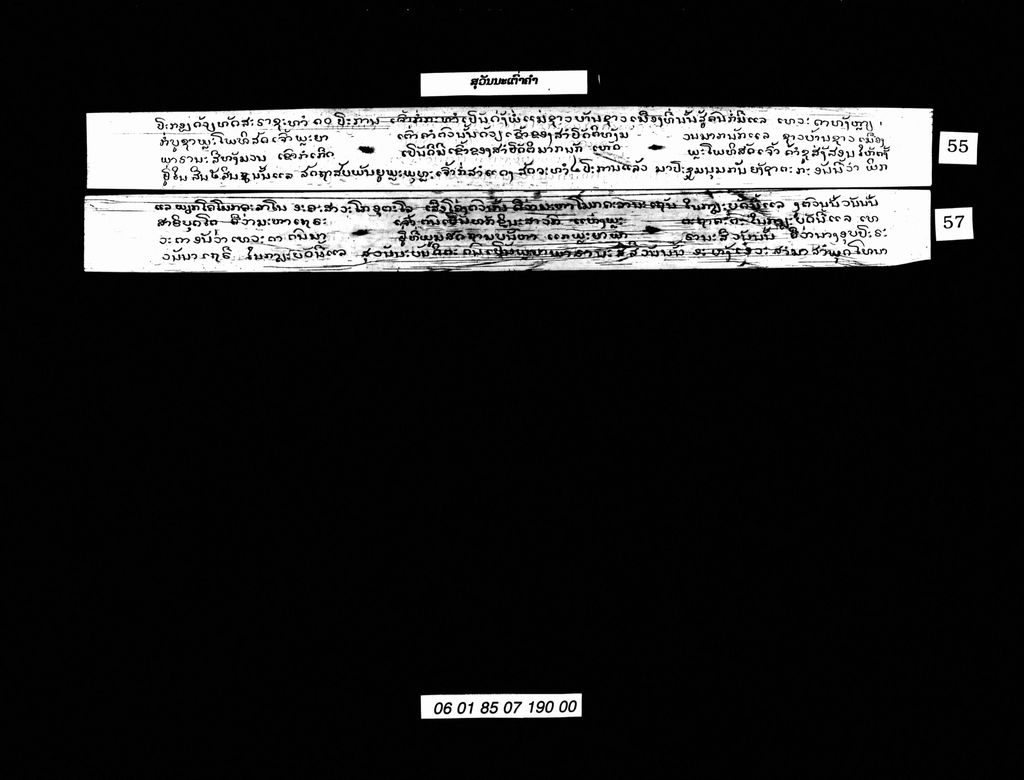 ສຸວັນນະເຕົ່າຄໍາ