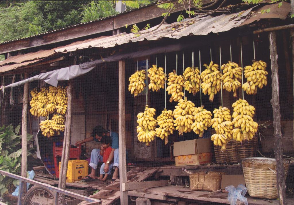 ການຫ້ອຍເຄືອກ້ວບຂາຍຢູ່ແຄມນ້ຳງື່ມ ແຂວງວຽງຈັນ