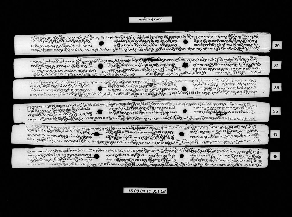 ສຸທທິສານຊ້າງທ່າວ