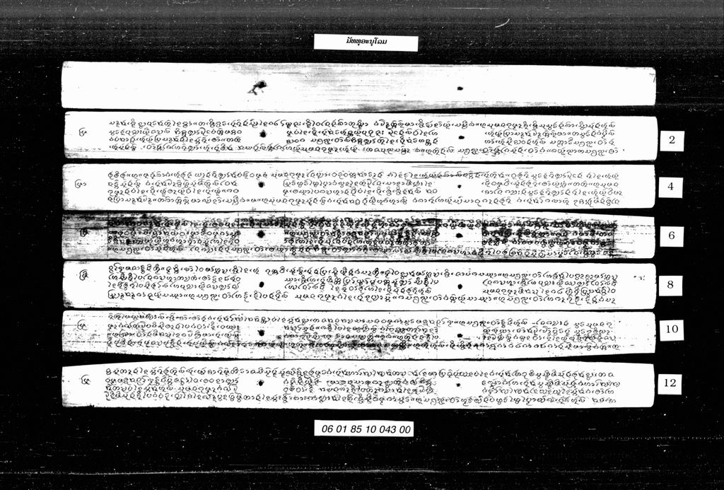 ມັທທຸອະນຸໂລມ