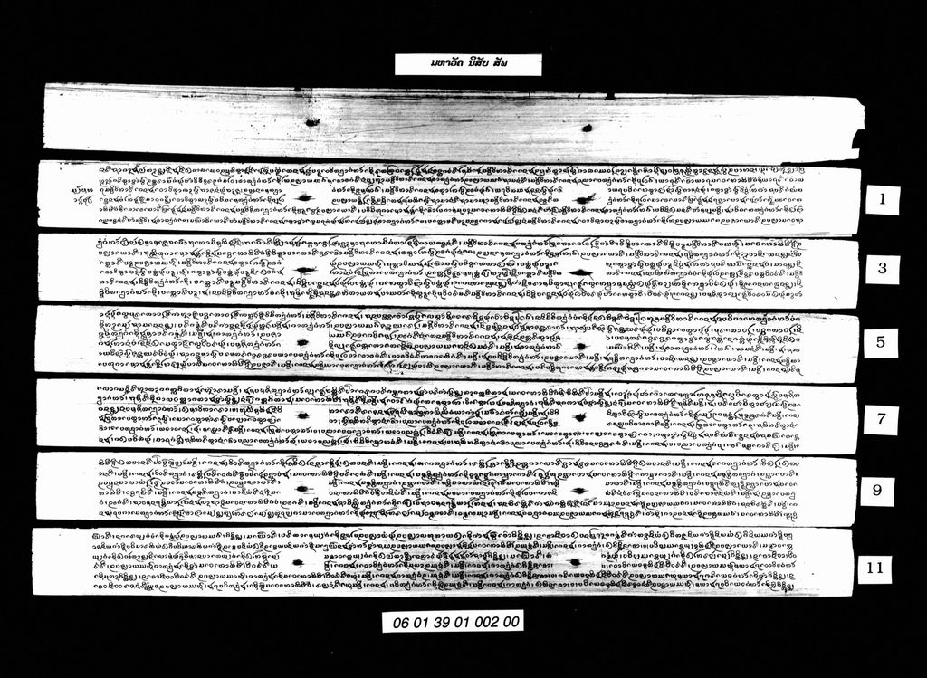 ນິສັຍ ມຫາວັຄ (ສັພ)