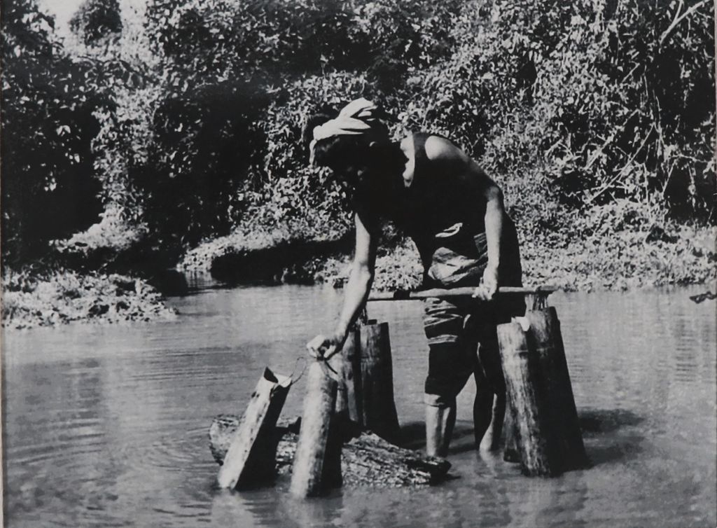 ຮູບພາບຂາວດໍາ ແມ່ຍິງກໍາລັງຕັກນໍ້າດ້ວຍບັ້ງໄມ້ໄຜ່ ປີ 1949