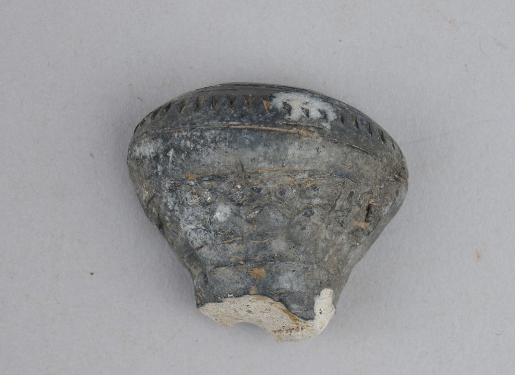 ຊີ້ນສ່ວນຫົວກອກຢາສູບ