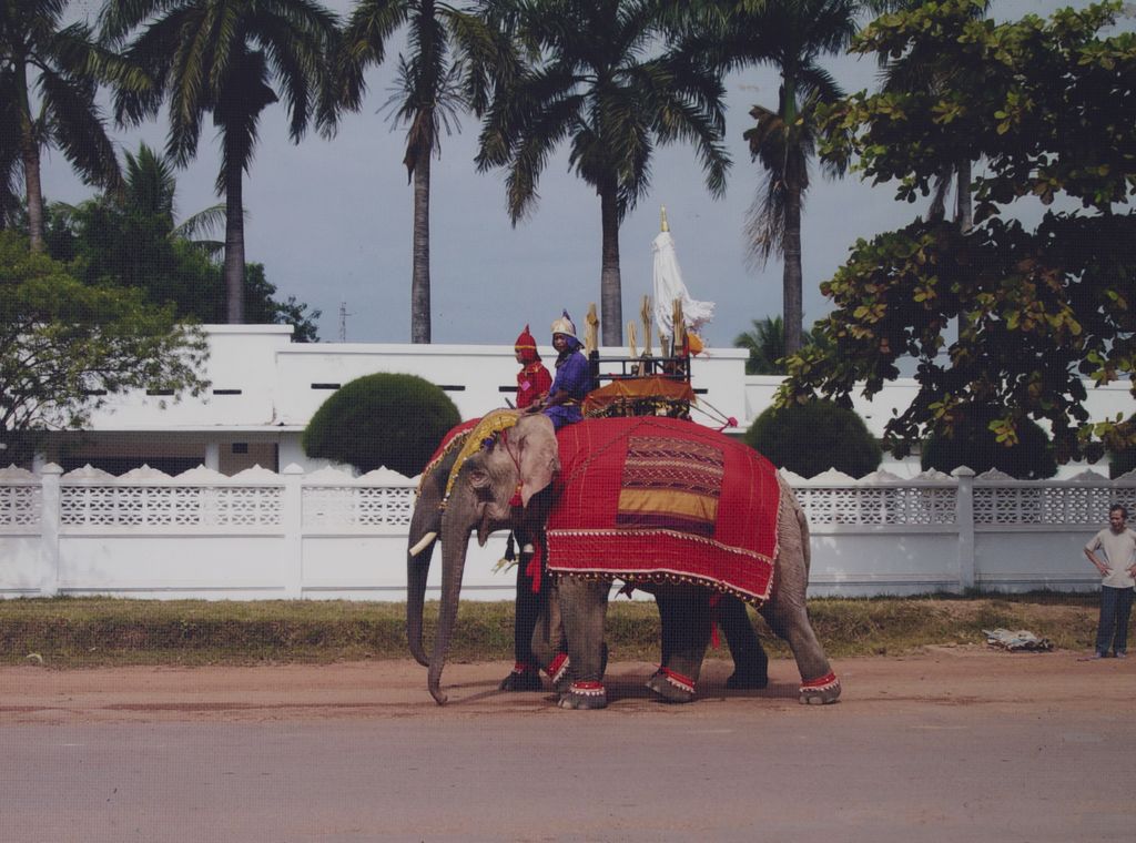 ງານ​ສະ​ຫຼອງ​ກະ​ສັດ​ແຫ່ງ​ລ້ານ​ຊ້າງ