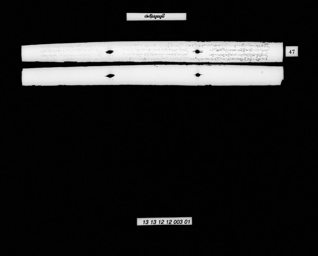 ປະຖົມມູລມູລີ