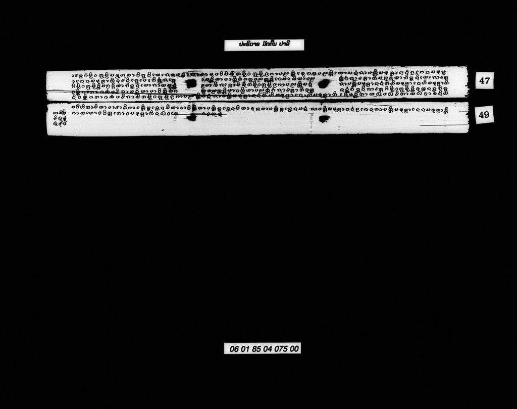 ປະຣິວາຣ ມັດຕົ້ນ (ປາລີ)