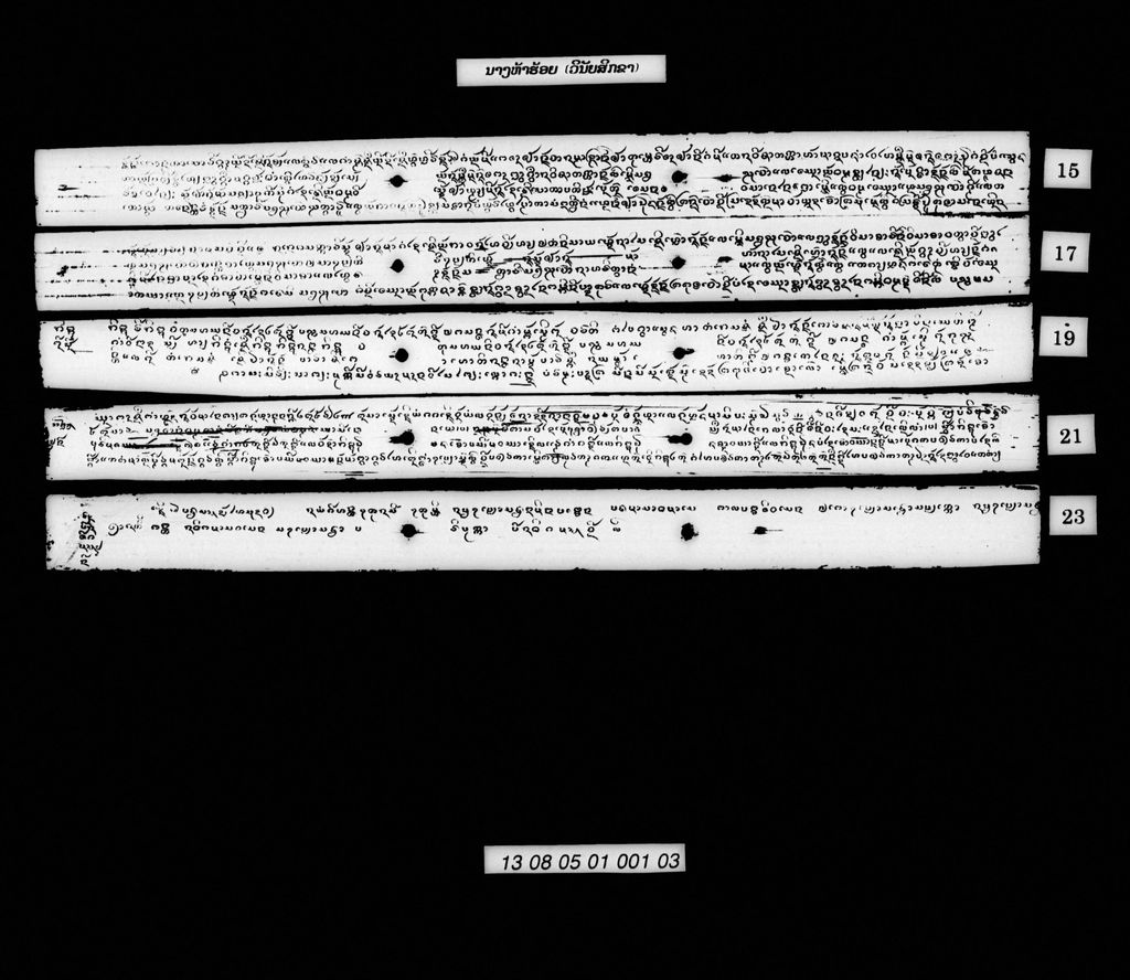 ນາງຫ້າຮ້ອຍ (ວິນັຍສິກຂາ)