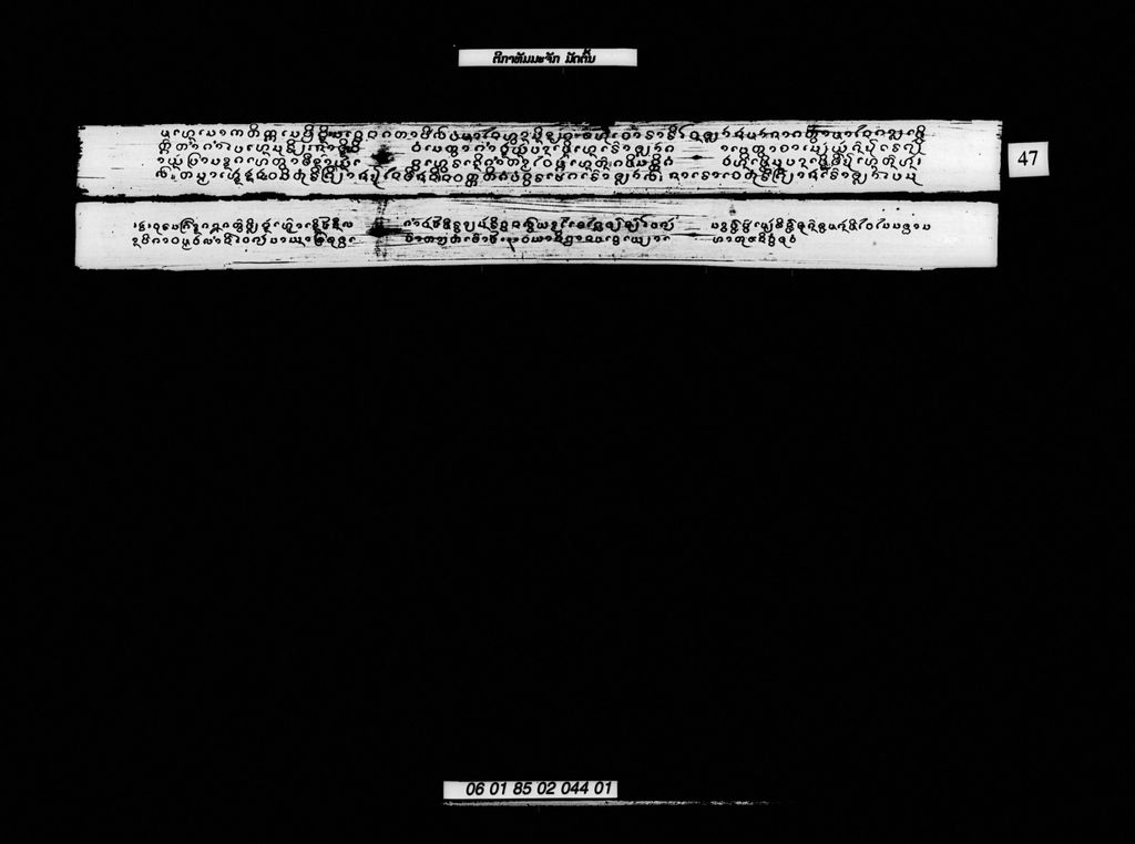 ຕີກາທັມມະຈັກ ມັດຕົ້ນ