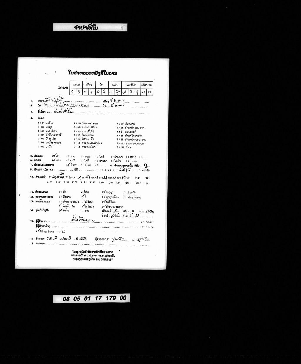 ຈຳປາສີ່ຕົ້ນ